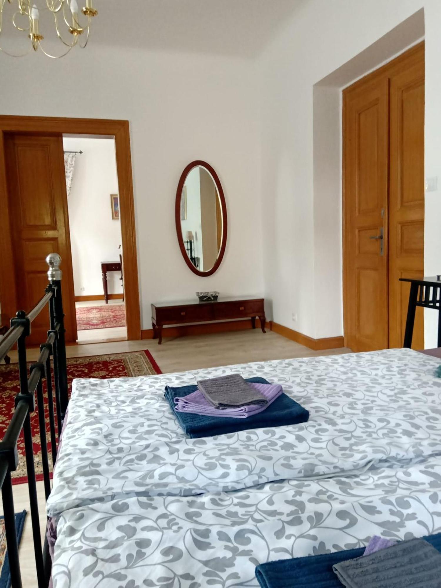 Historic Apartment Prague