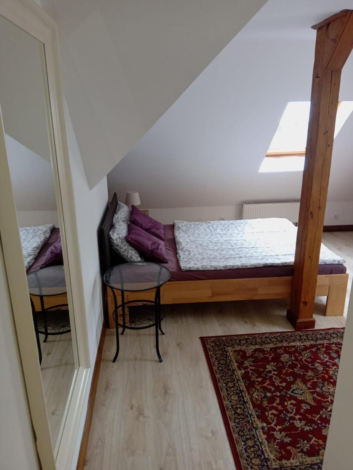 Historic Apartment Prague